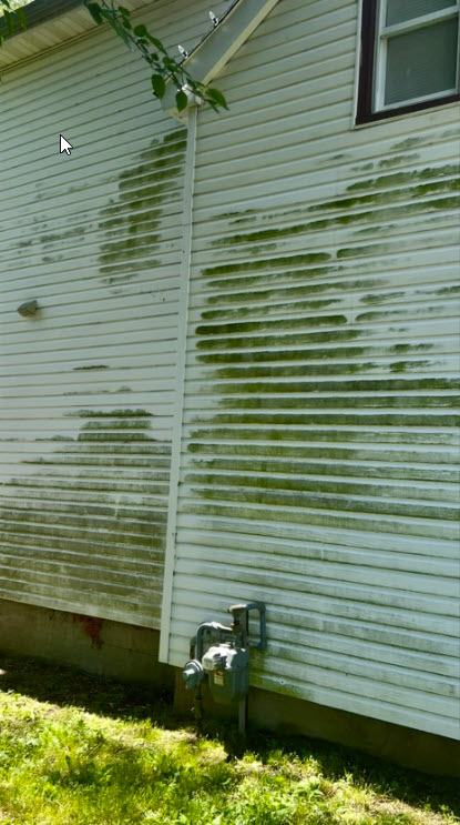 House siding before cleaning