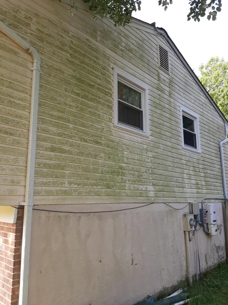 Siding before cleaning